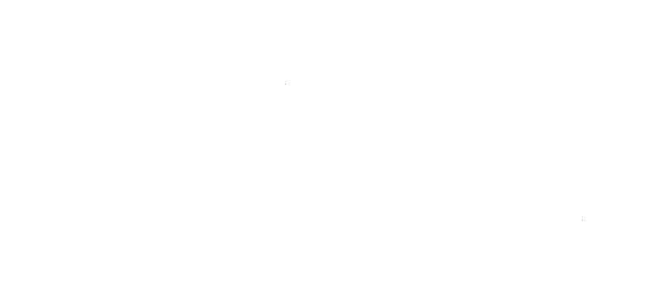 BellPartnersLogo-White